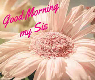 Good Morning Sister